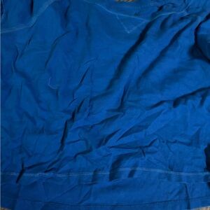 Hollister Blue Crop Top